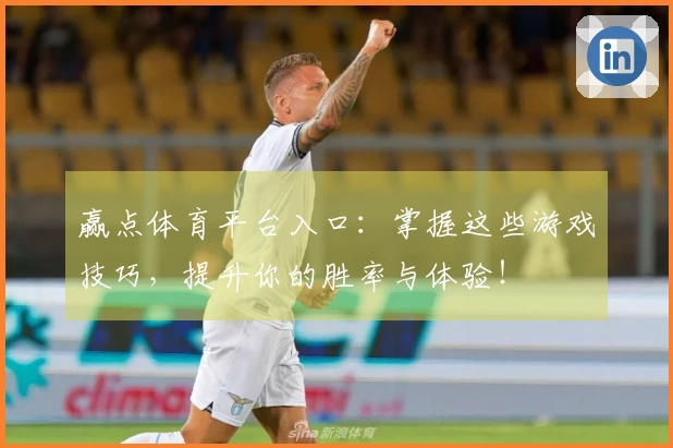 赢点体育平台入口：掌握这些游戏技巧，提升你的胜率与体验！