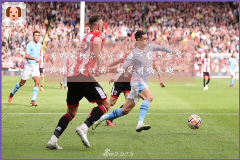 老玩家教你如何快速下载与安装开云体育手机端，畅享游戏乐趣