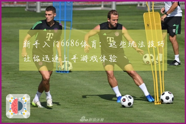 新手入门6686体育：这些玩法技巧让你迅速上手游戏体验