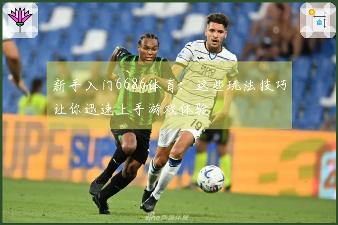 新手入门6686体育：这些玩法技巧让你迅速上手游戏体验